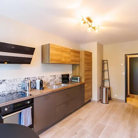 Appartement Moderne Pres De Geneve *