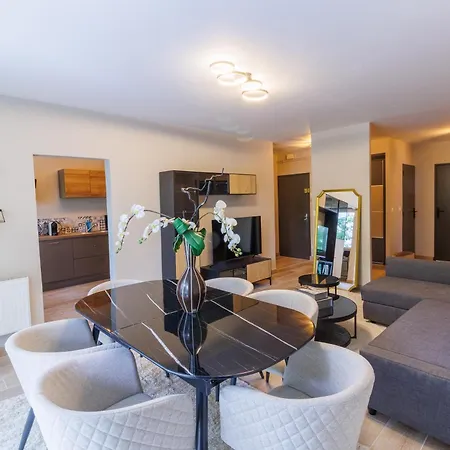 Moderne Pres De Geneve Appartement Ferney-Voltaire