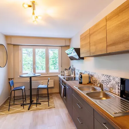 Moderne Pres De Geneve Appartement *